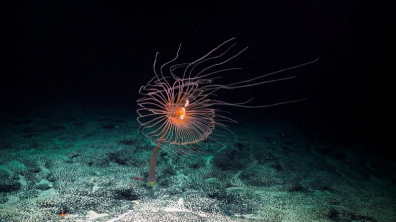 DOCVILLE Archief – Programma