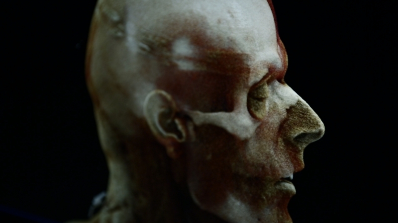 DOCVILLE Archief – Programme