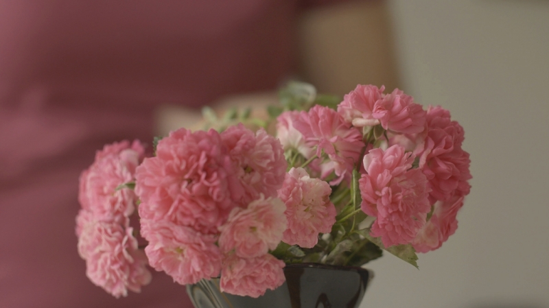 DOCVILLE Archief – Programma