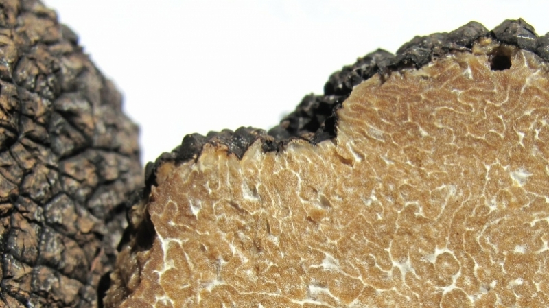 DOCVILLE Archief – Programme