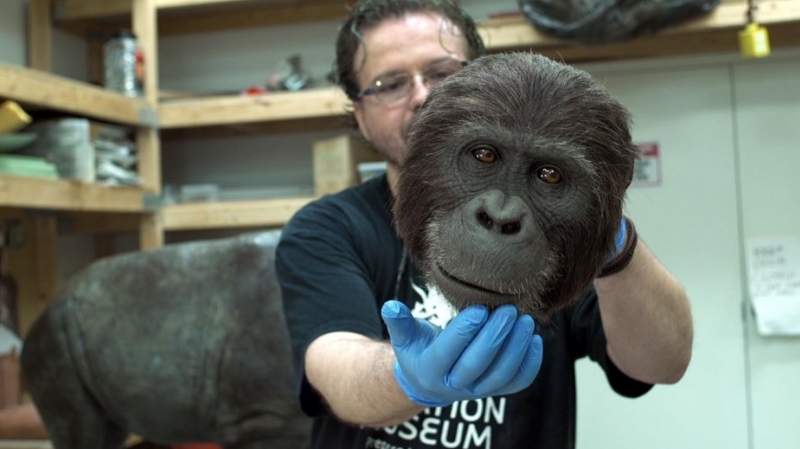 DOCVILLE Archief – Programme